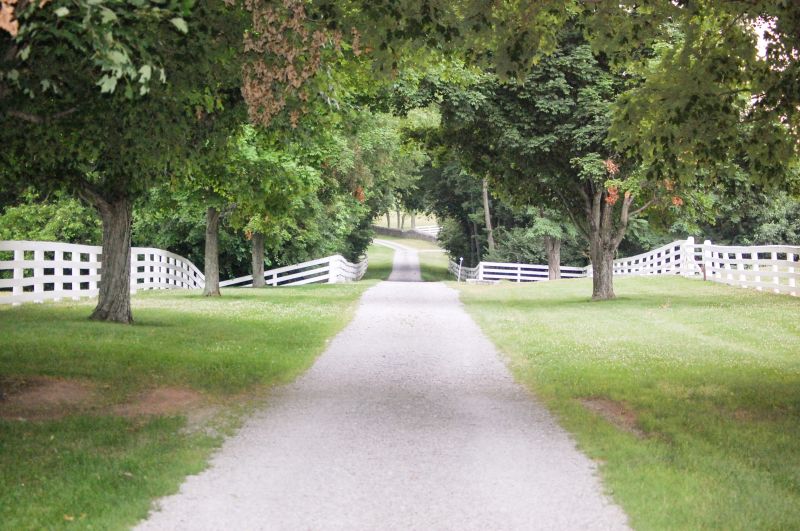 Stone Driveway Repair