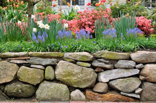 Stone Wall Hardscaping in Antioch