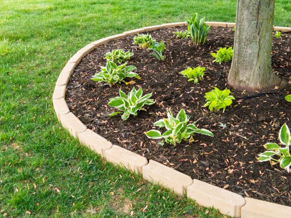 Stone Border Installation in Antioch