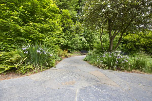 Stone Hardscape Service in Antioch